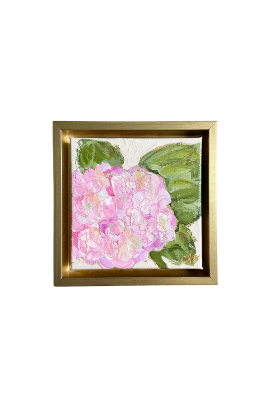 "Pink Hydrangea II" a 6x6 framed original painting by Charlotte Pottieger